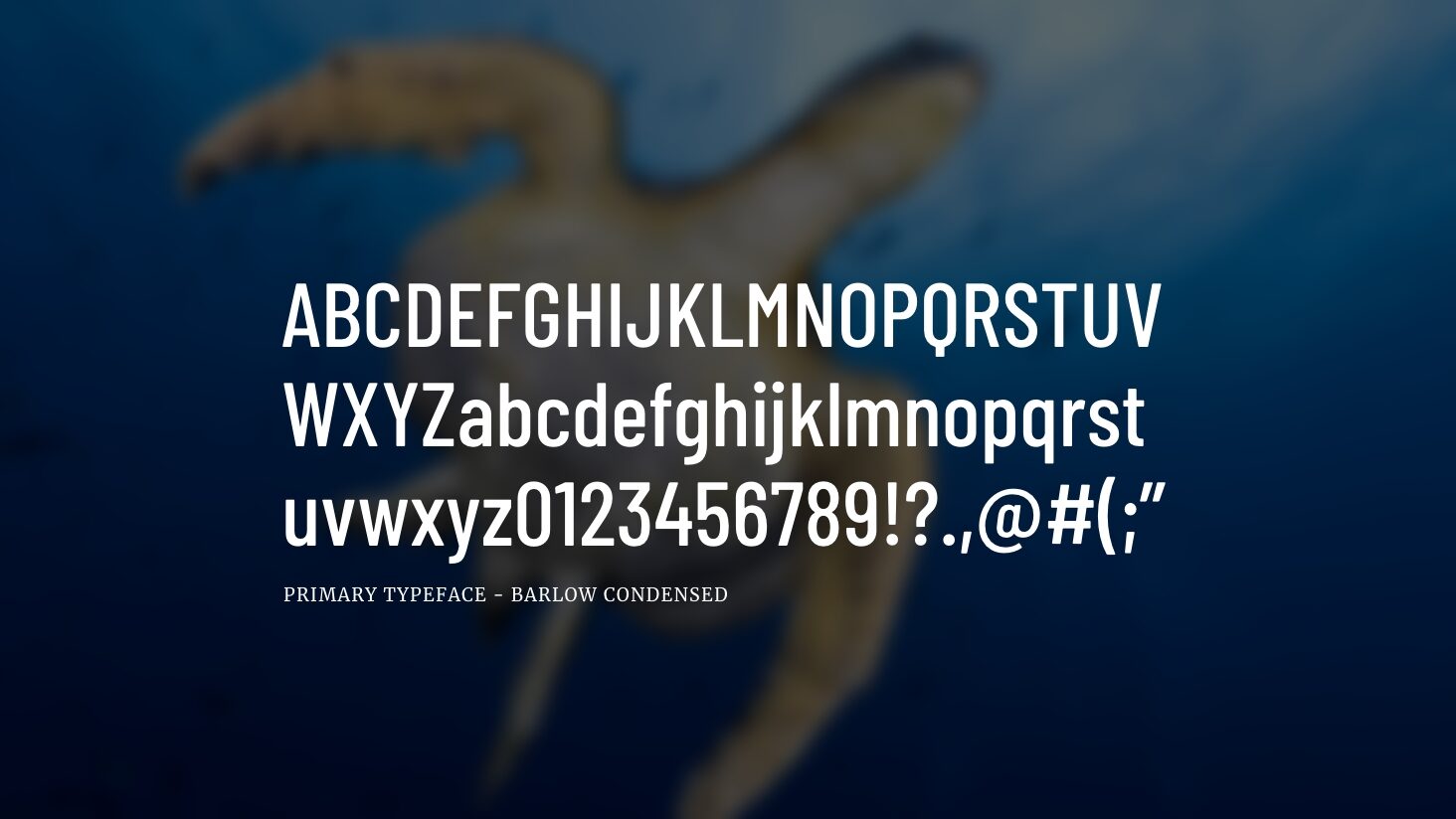 Image for The image is displaying the characters of the Barlow Condensed primary typeface from the Galapagos Conservation Trust website